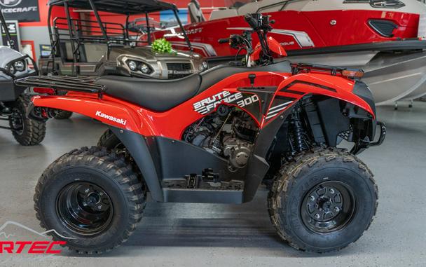 2024 Kawasaki Brute Force® 300