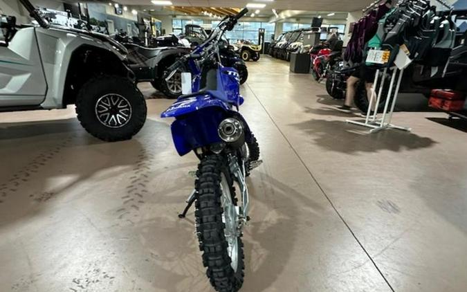 2025 Yamaha TTR230S