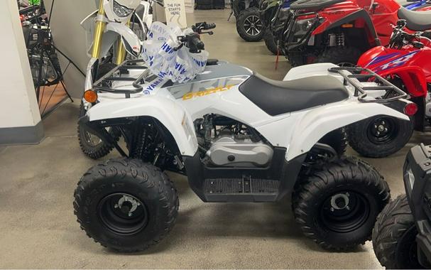 2024 Yamaha Grizzly 90