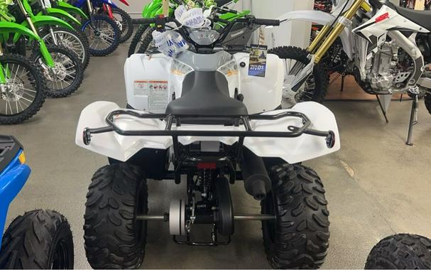 2024 Yamaha Grizzly 90