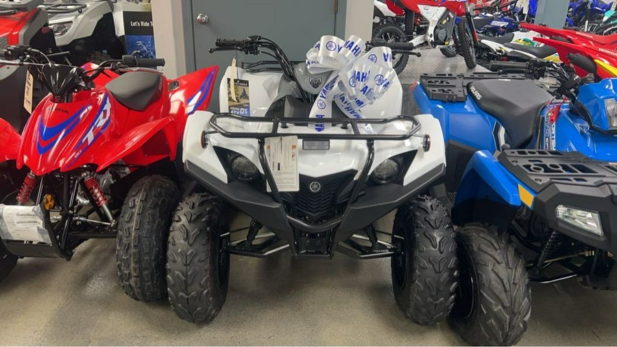 2024 Yamaha Grizzly 90