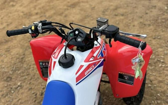 2026 Honda TRX 250X