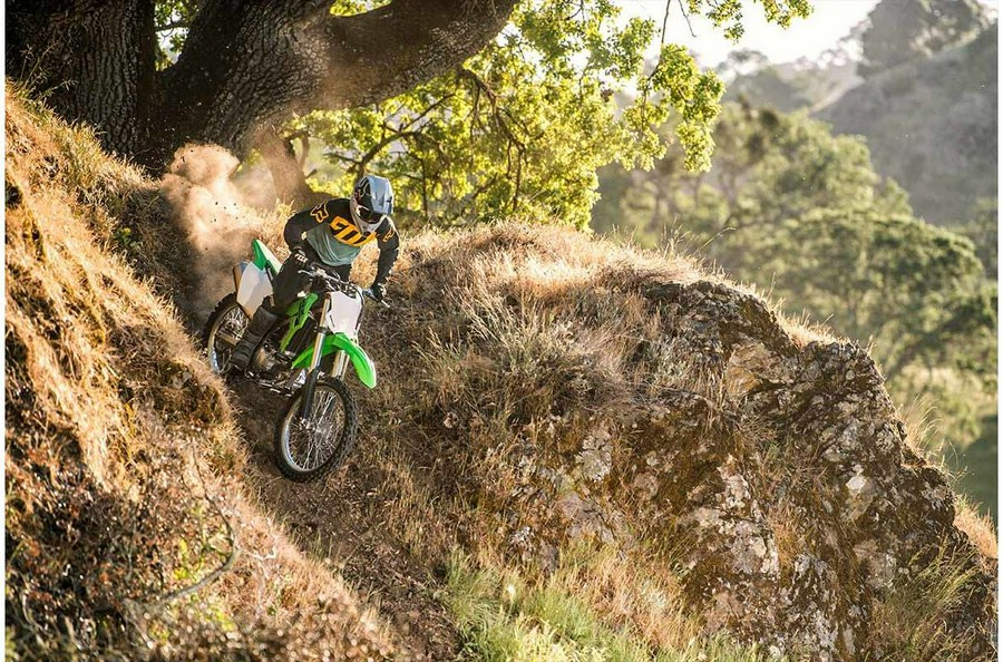 2022 Kawasaki KLX® 300R