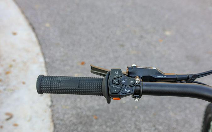 2026 79 BIKE FALCON PRO