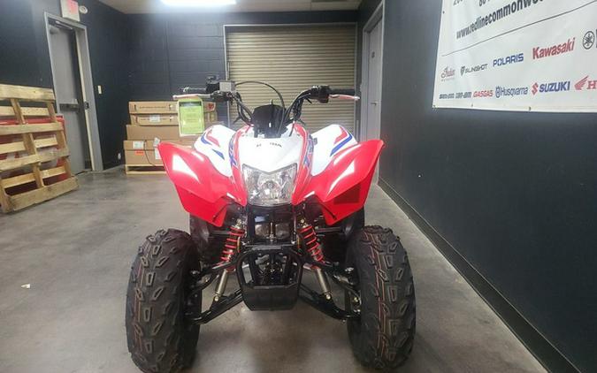 2026 Honda TRX 250X
