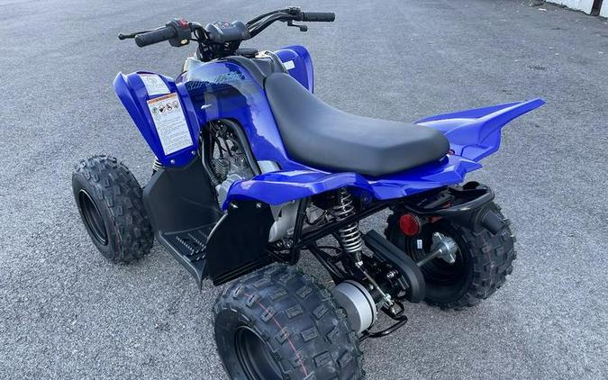 2024 Yamaha Raptor 110