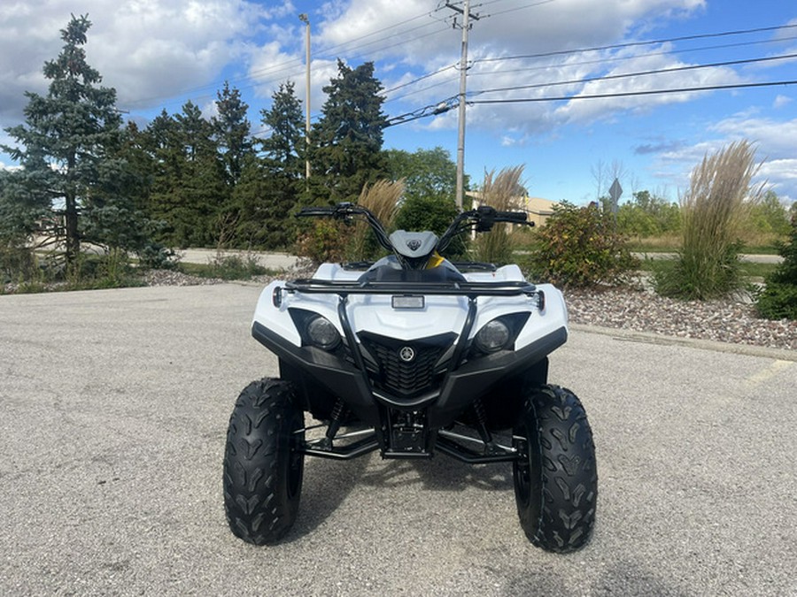 2024 Yamaha Grizzly 90