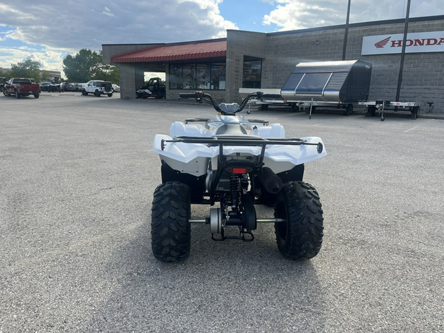 2024 Yamaha Grizzly 90