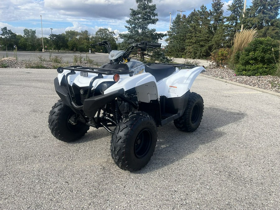 2024 Yamaha Grizzly 90