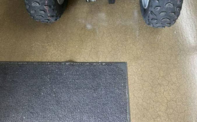 2025 Suzuki QuadSport Z90