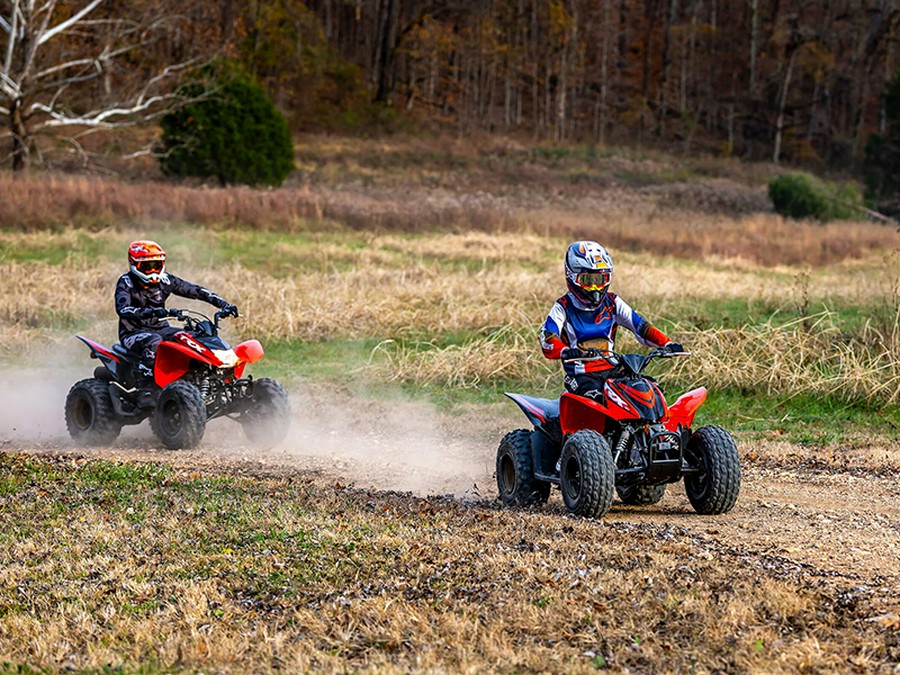 2024 Honda TRX 90X