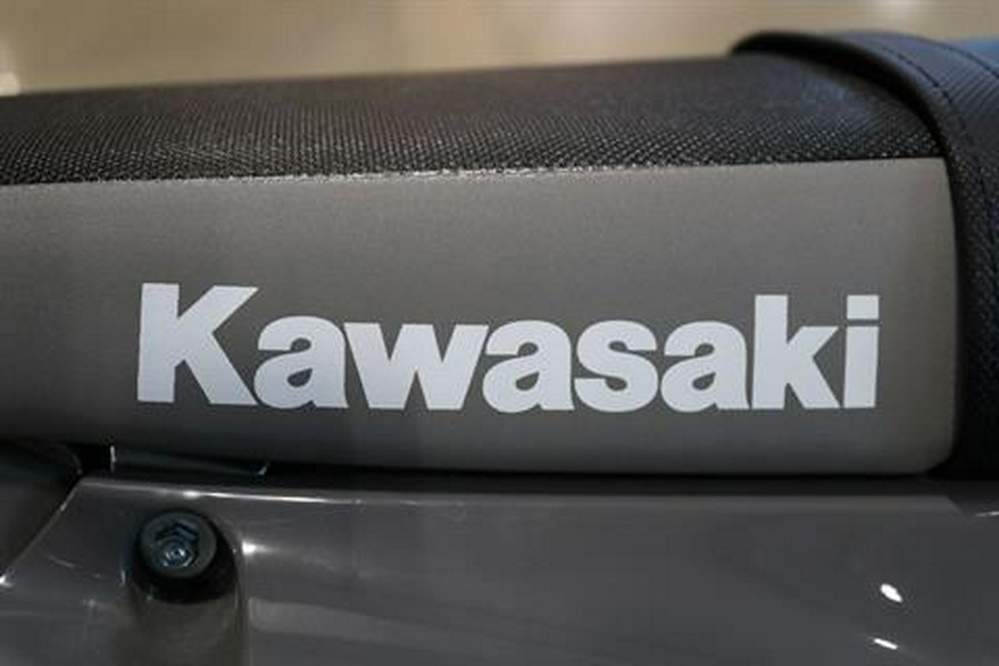 2025 Kawasaki KLX 300SM