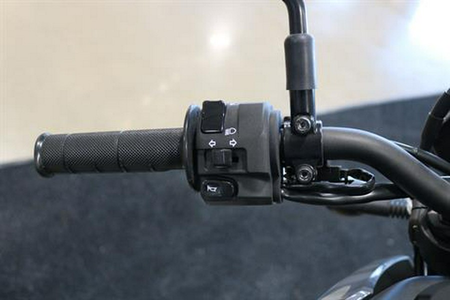 2025 Kawasaki KLX 300SM