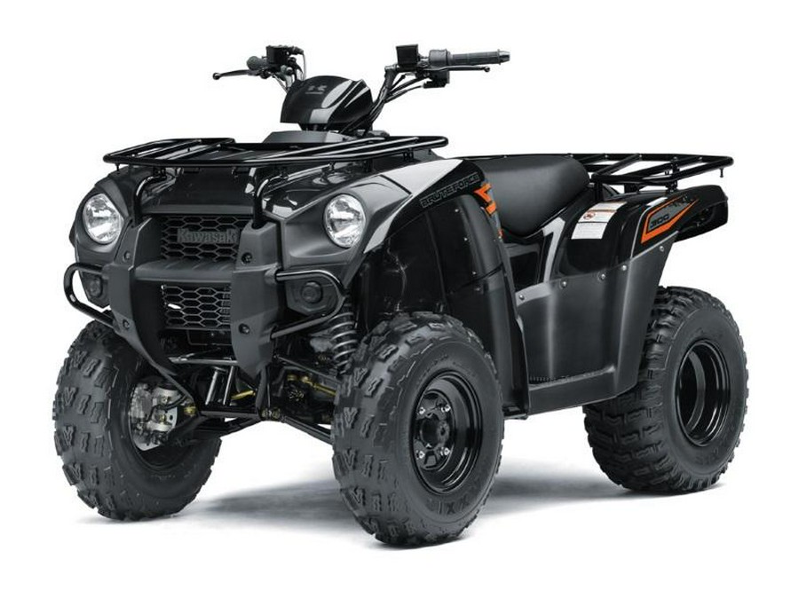 2018 Kawasaki Brute Force® 300