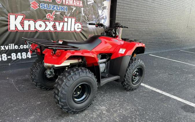 2024 Honda® Fourtrax Recon