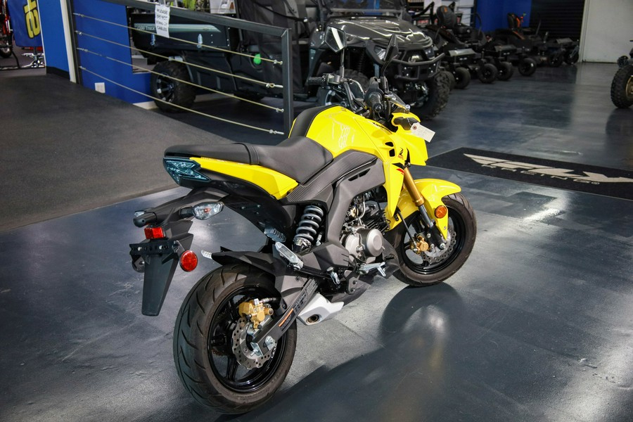 2022 Kawasaki Z125 Pro