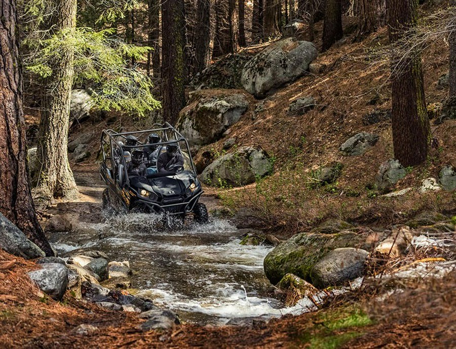 2020 Kawasaki Teryx4