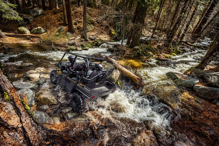 2020 Kawasaki Teryx4