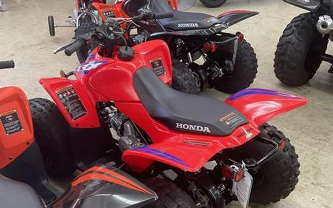 2024 Honda® TRX90X