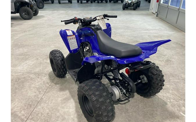 2024 Yamaha Raptor 110