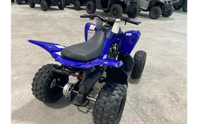 2024 Yamaha Raptor 110