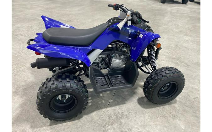 2024 Yamaha Raptor 110