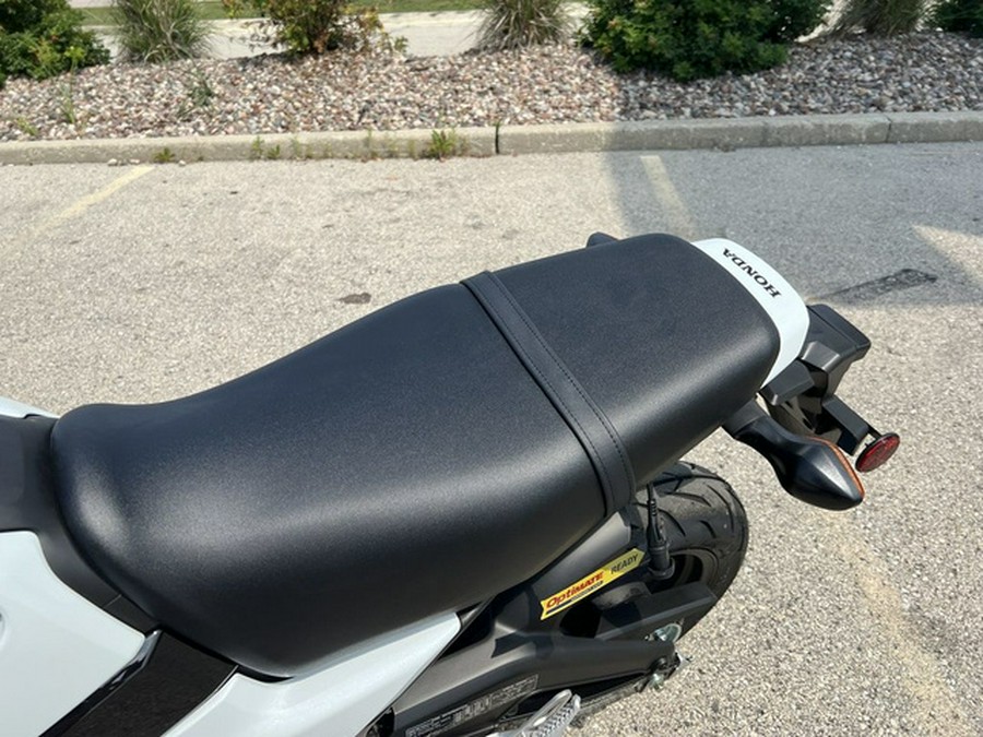 2025 Honda Grom