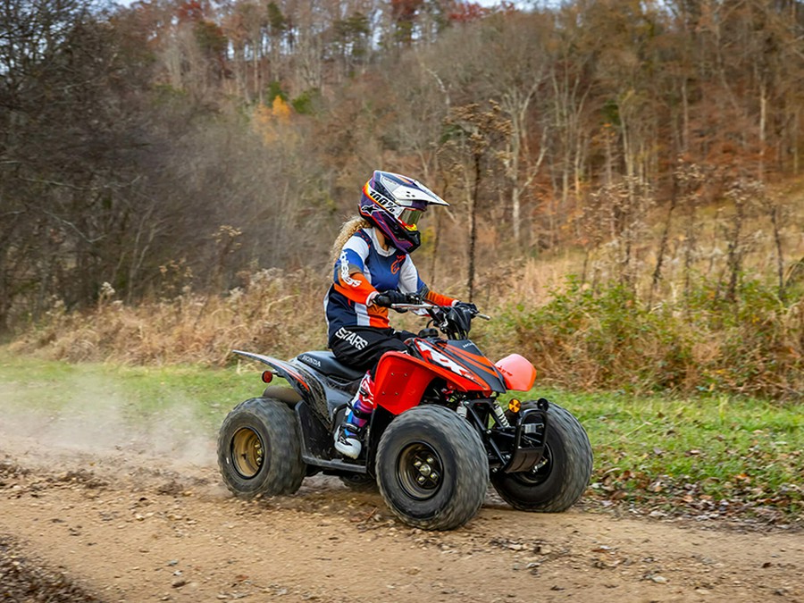 2024 Honda TRX 90X