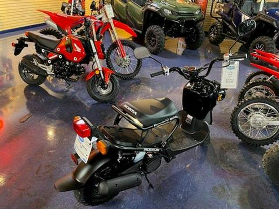 2024 Honda Ruckus