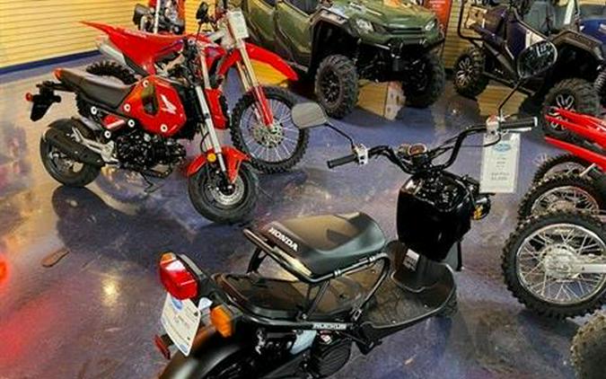 2024 Honda Ruckus