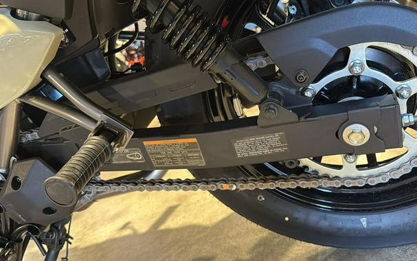 2025 Kawasaki Eliminator®