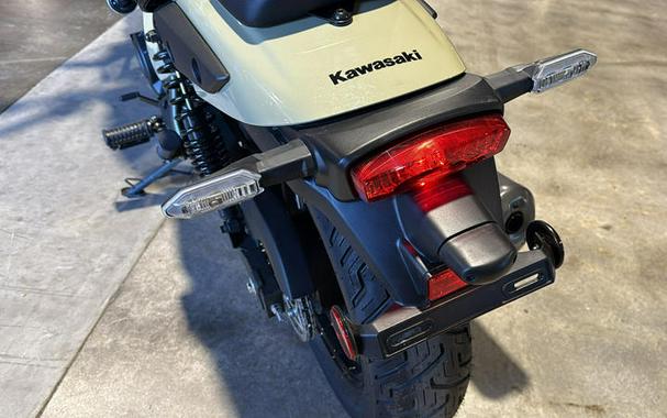 2025 Kawasaki Eliminator®
