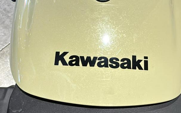 2025 Kawasaki Eliminator®