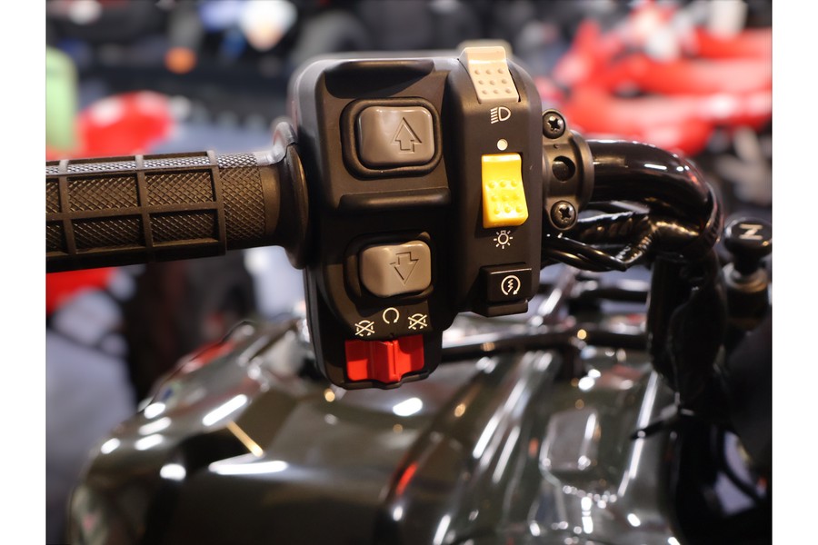 2026 Honda TRX250TE1T