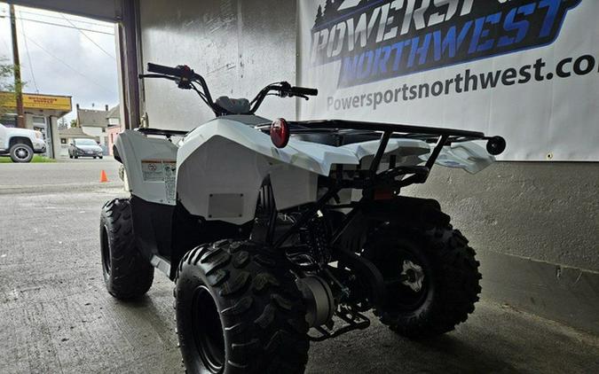 2024 Yamaha Grizzly 90