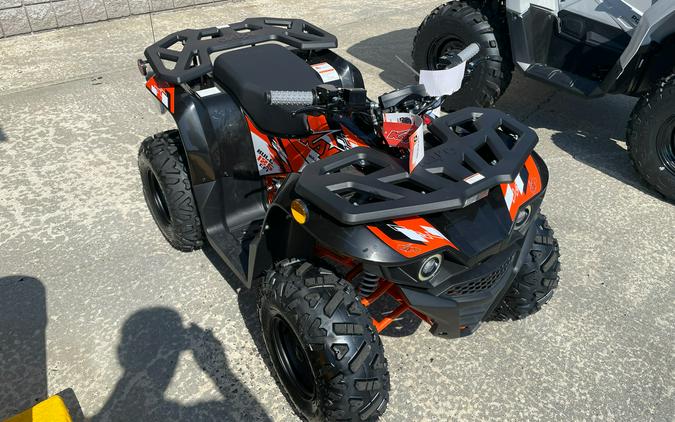 2026 Kayo Bull 125 EFI