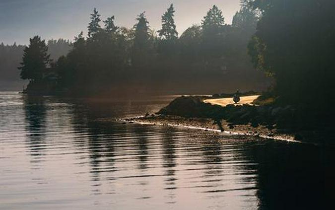 2024 Harley-Davidson Ultra Limited®