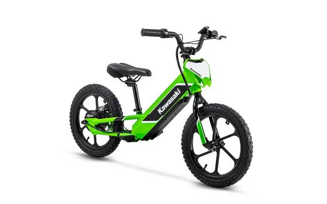 2023 Kawasaki ELKTRODE