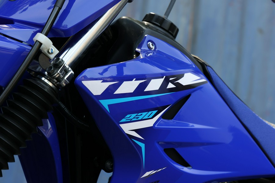 2026 Yamaha TT-R230