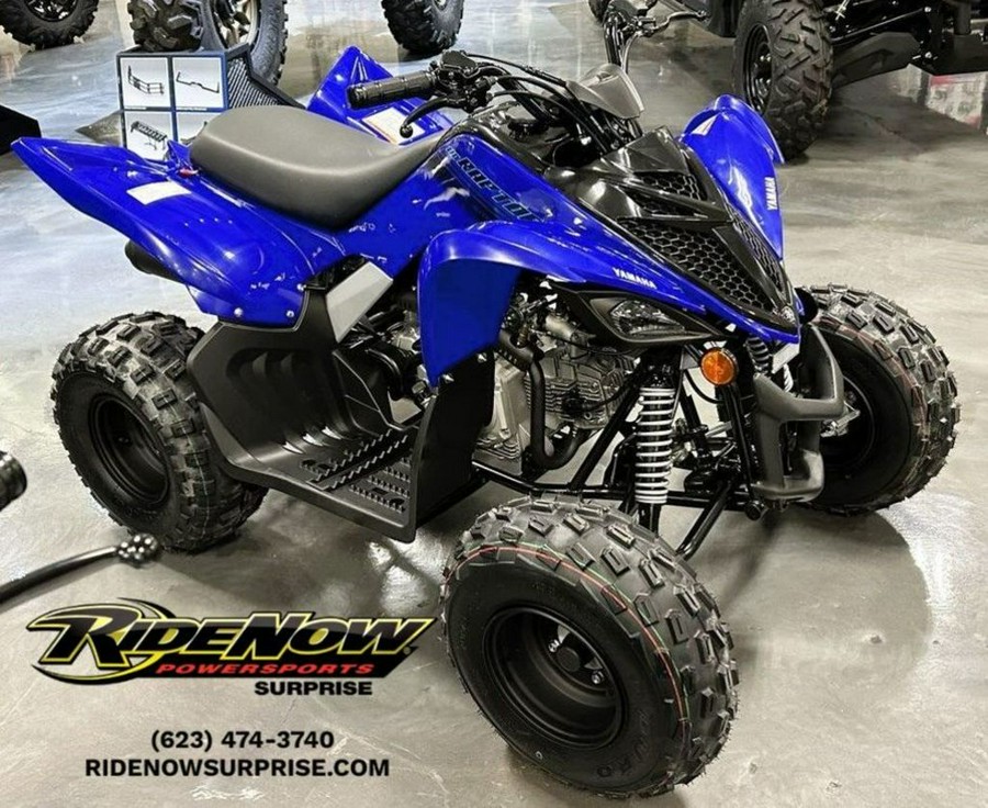 2024 Yamaha Raptor 110