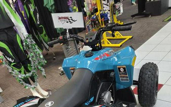 2026 Can-Am® Renegade 110 EFI