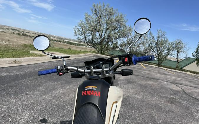 2019 Yamaha XT250