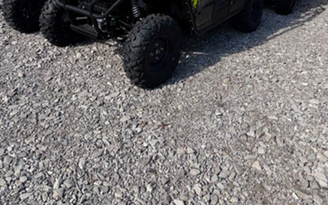 2025 Kawasaki Teryx4