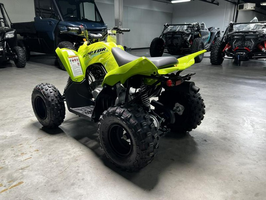 2026 Yamaha Raptor 110