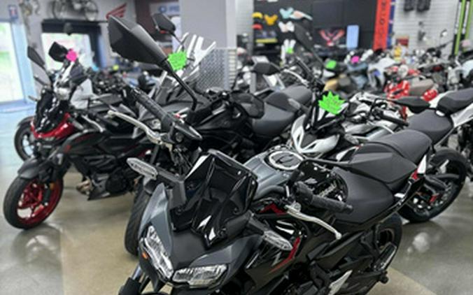 2025 Kawasaki Z650