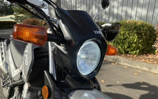 2022 Yamaha XT 250