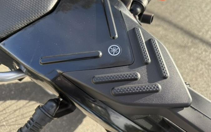 2022 Yamaha XT 250