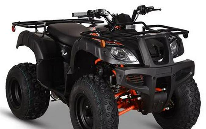 2026 Kayo Bull 150 EFI