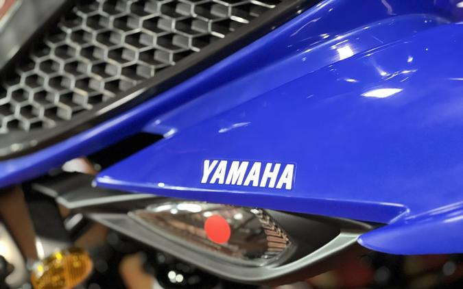 2026 Yamaha Raptor 110