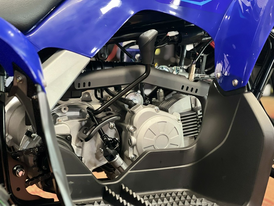 2026 Yamaha Raptor 110